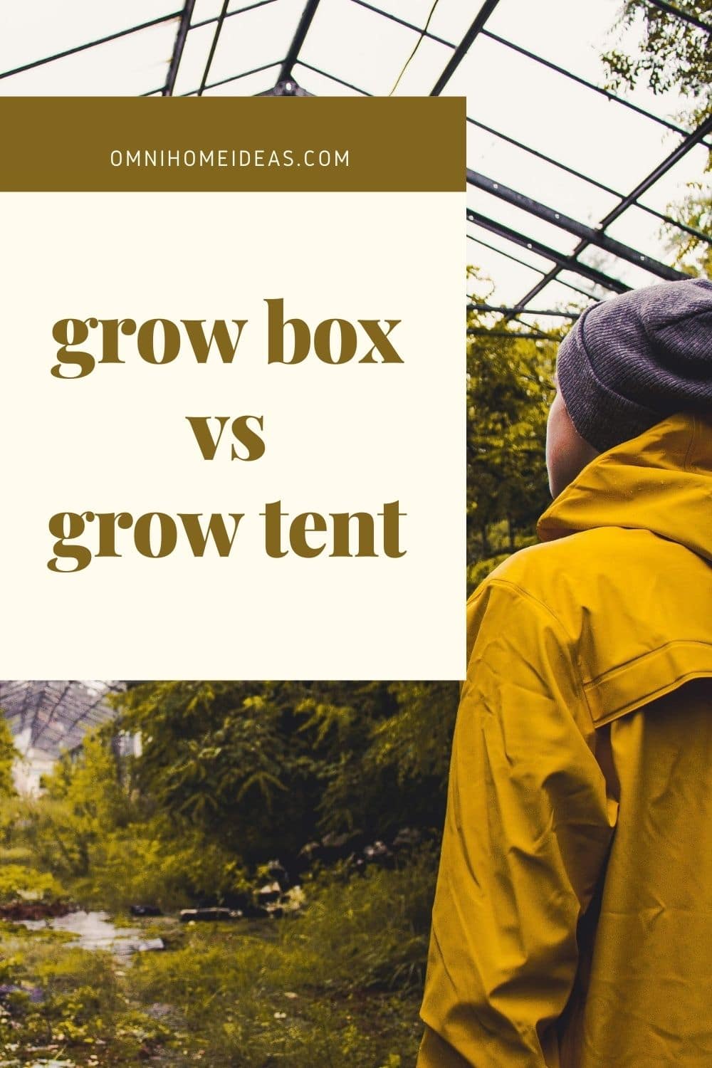 grow box vs grow tent
