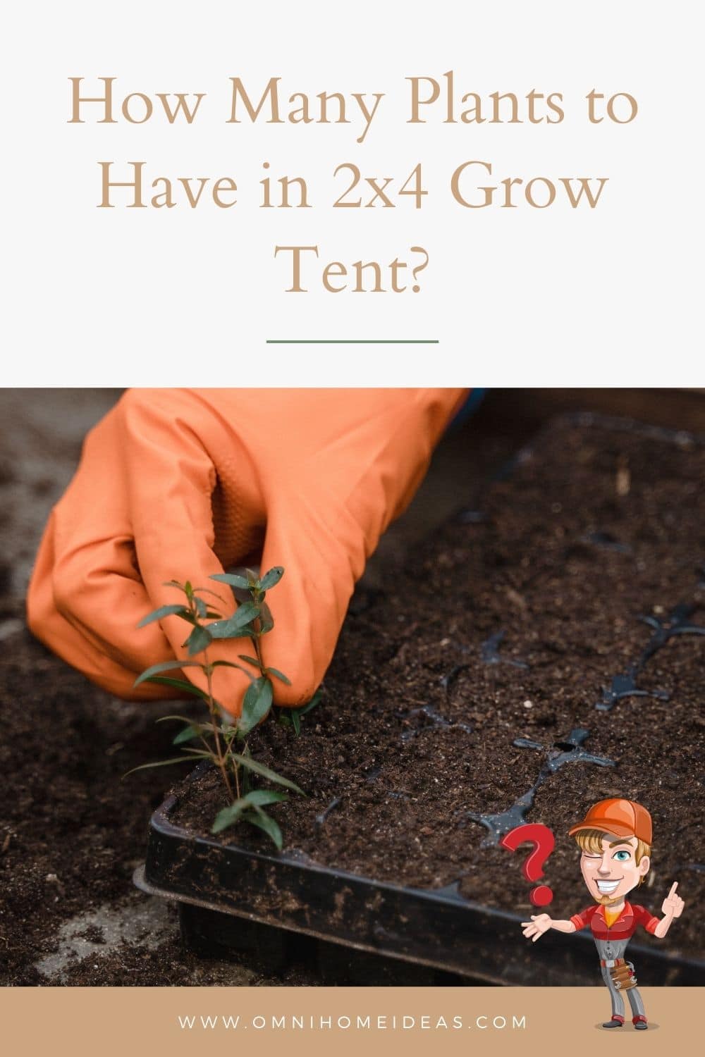 how many plants in a 2x4 grow tent