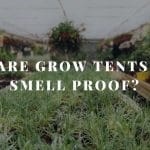 are grow tents smell proof