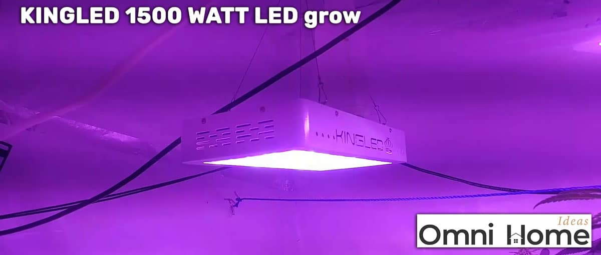 kingled 1500 watt led grow