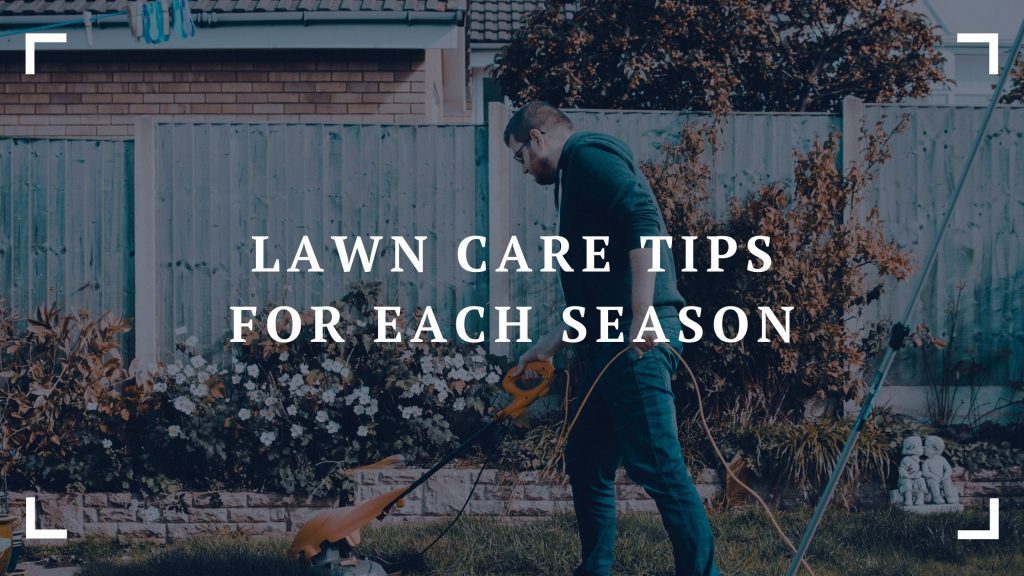 lawn care tips for each season