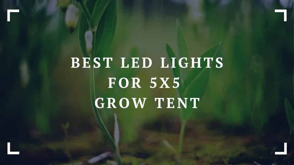 5x5 grow tent led lights