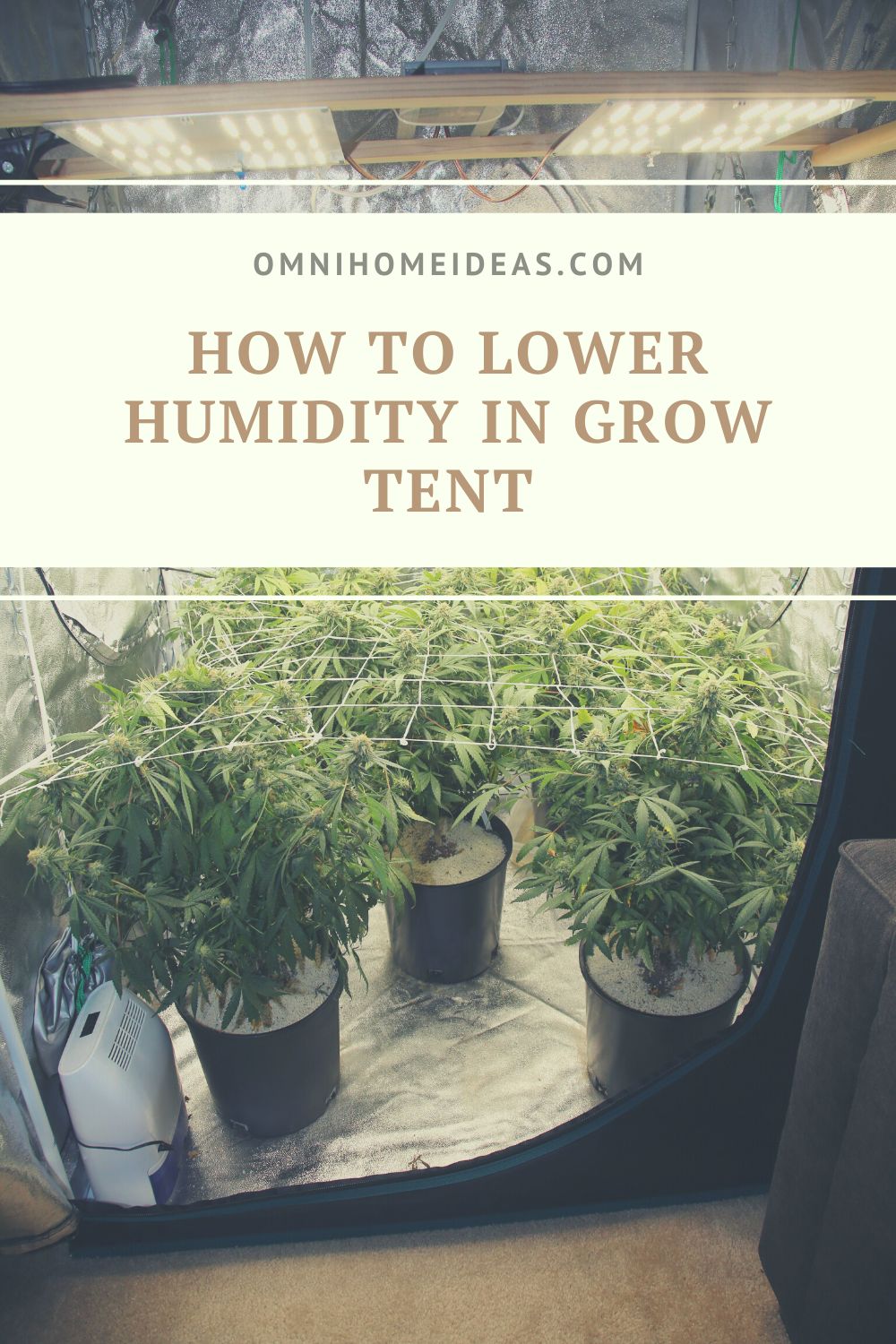 how to lower humidity in grow tent