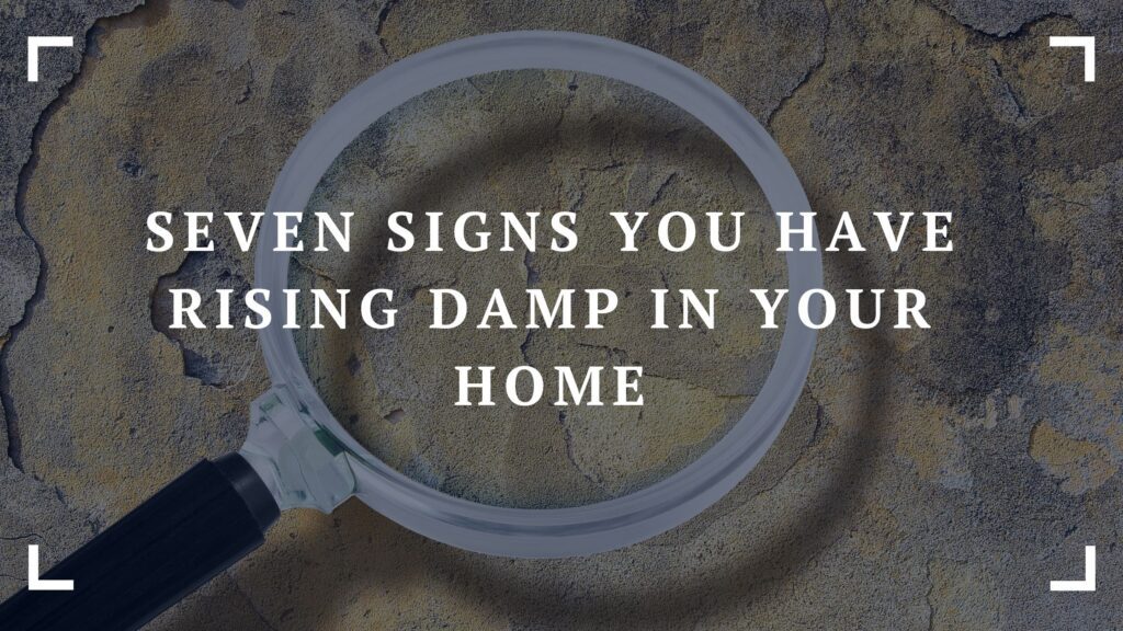 seven signs you have rising damp in your home