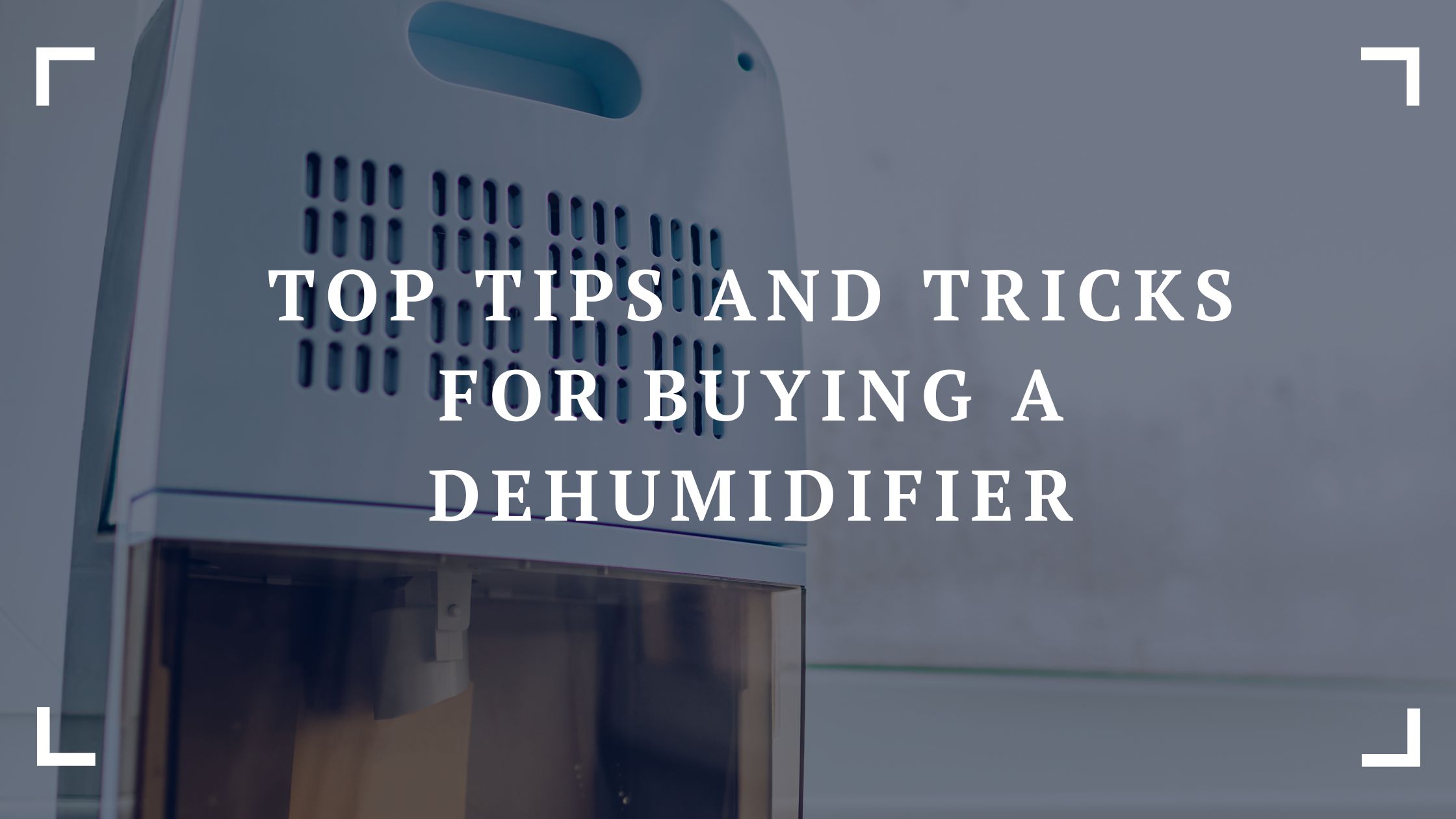 top tips and tricks for buying a dehumidifier