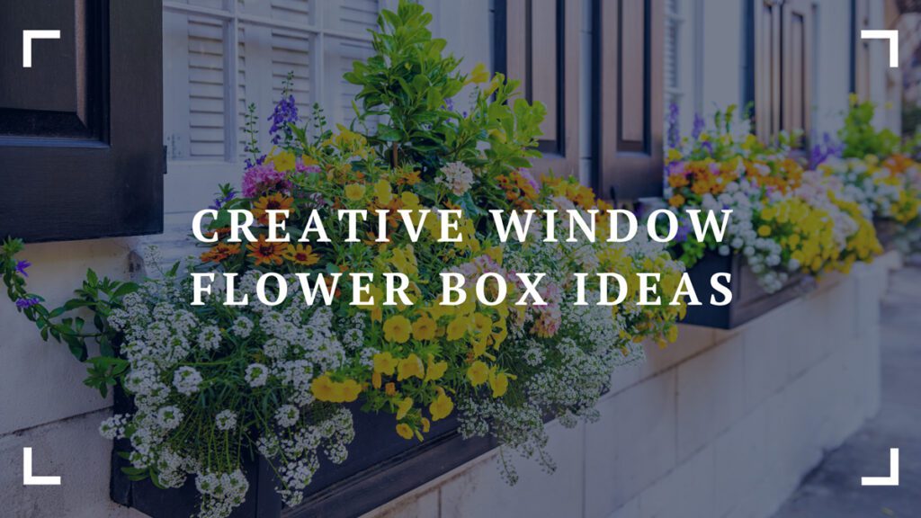 creative window flower box ideas