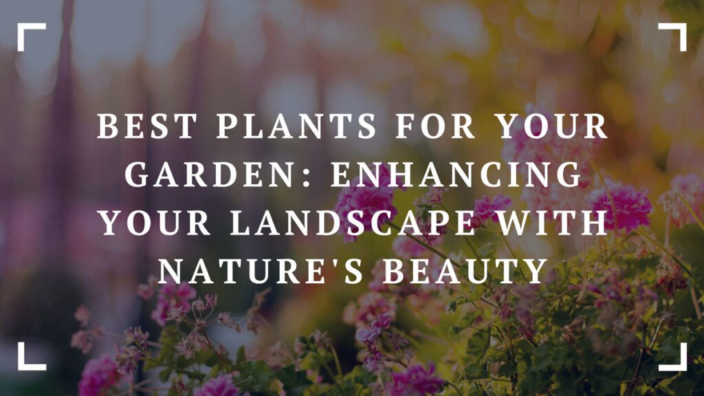 best plants for your garden enhancing your landscape with natures beauty