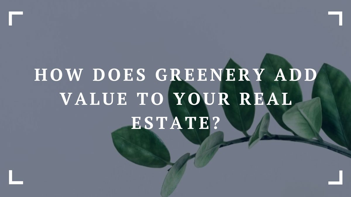 how does greenery add value to your real estate