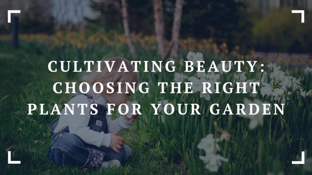 cultivating beauty choosing the right plants for your garden