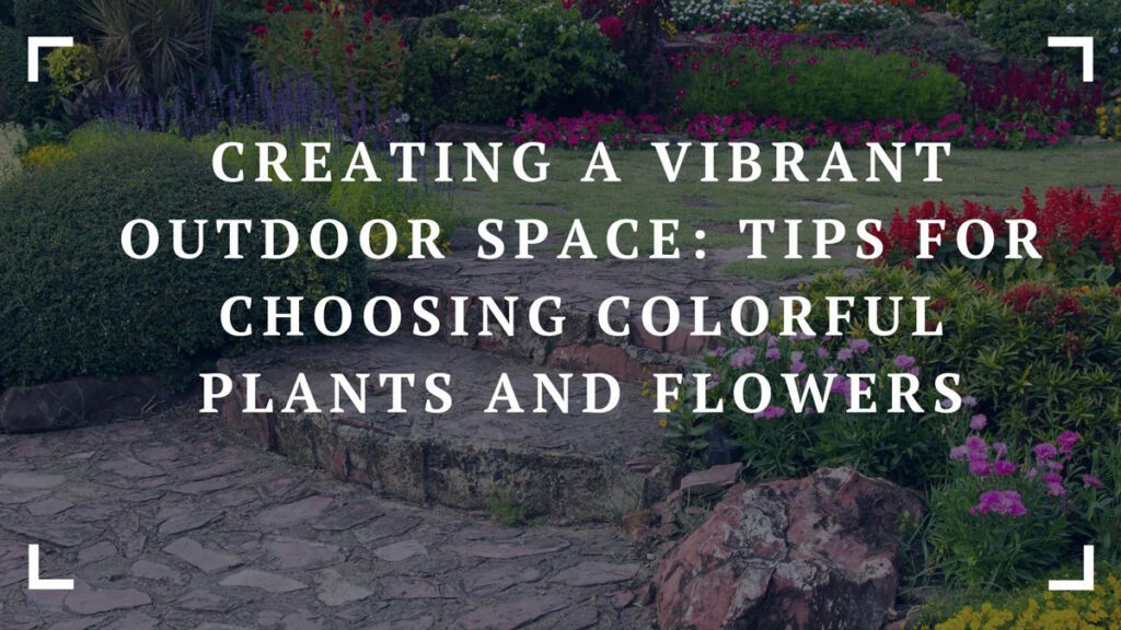 creating a vibrant outdoor space tips for choosing colorful plants and flowers