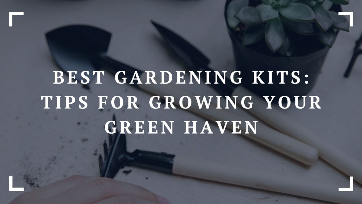 best gardening kits tips for growing your green haven