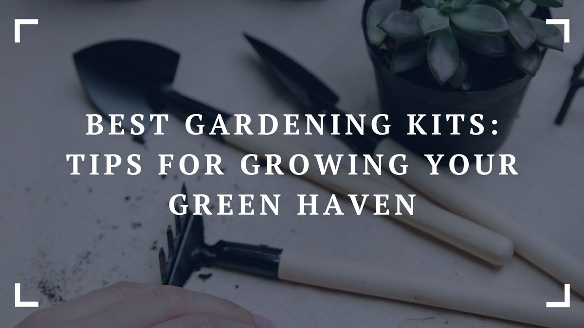 10 Best Gardening Kits 2024 Tips for Growing Your Green Haven