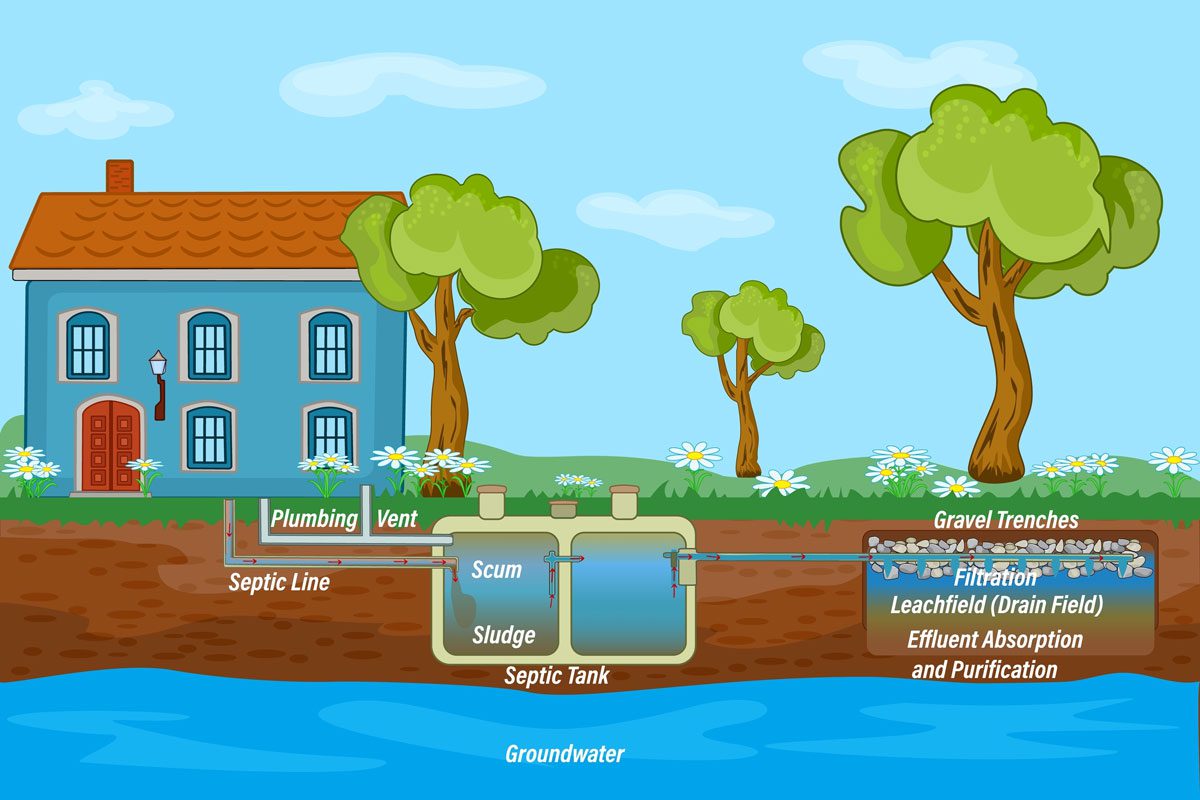 home septic system and drain field scheme