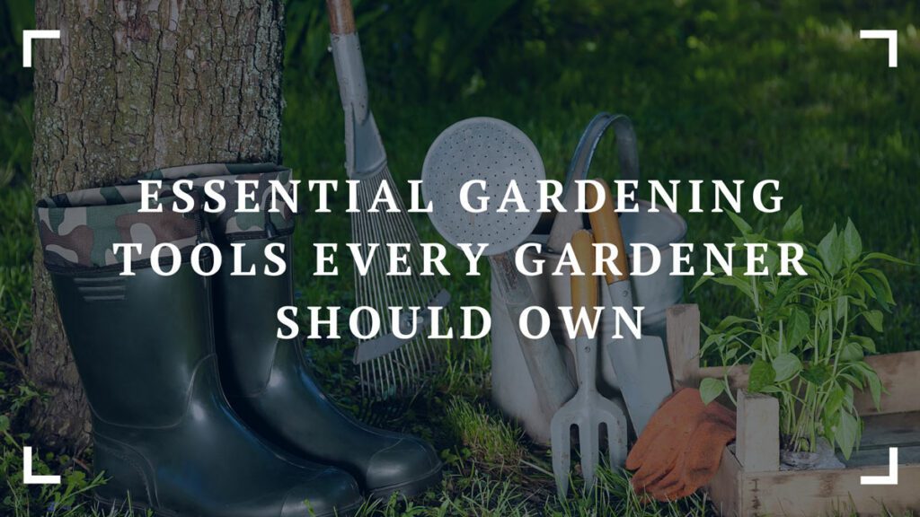 essential gardening tools every gardener should own