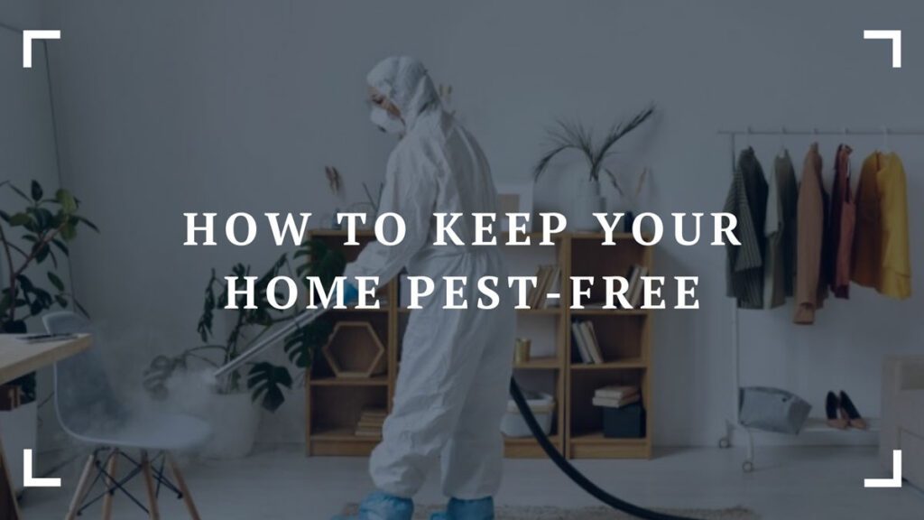 how to keep your home pest free
