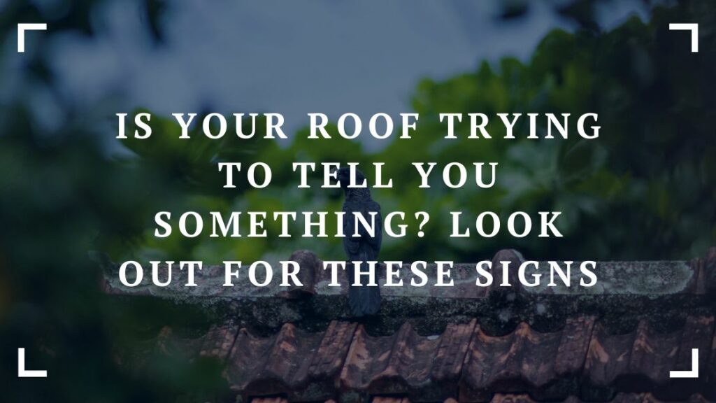 is your roof trying to tell you something look out for these signs