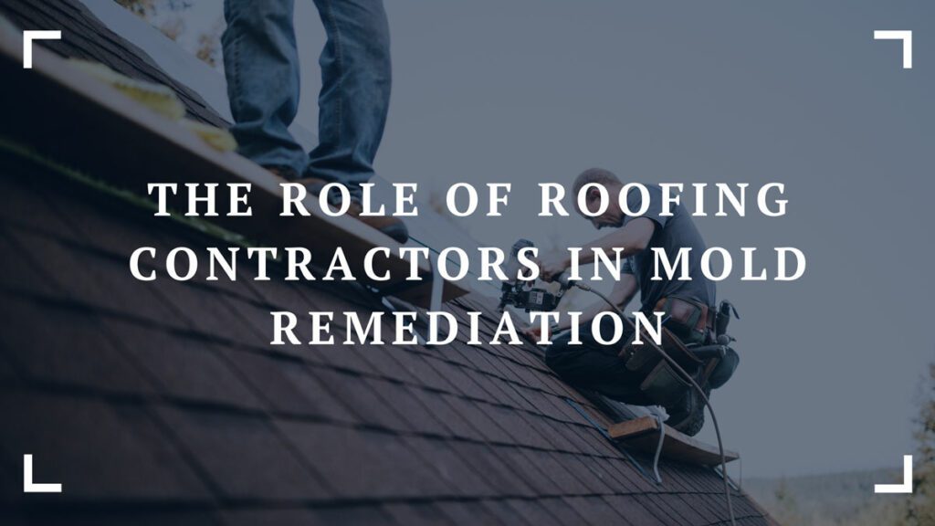 the role of roofing contractors in mold remediation