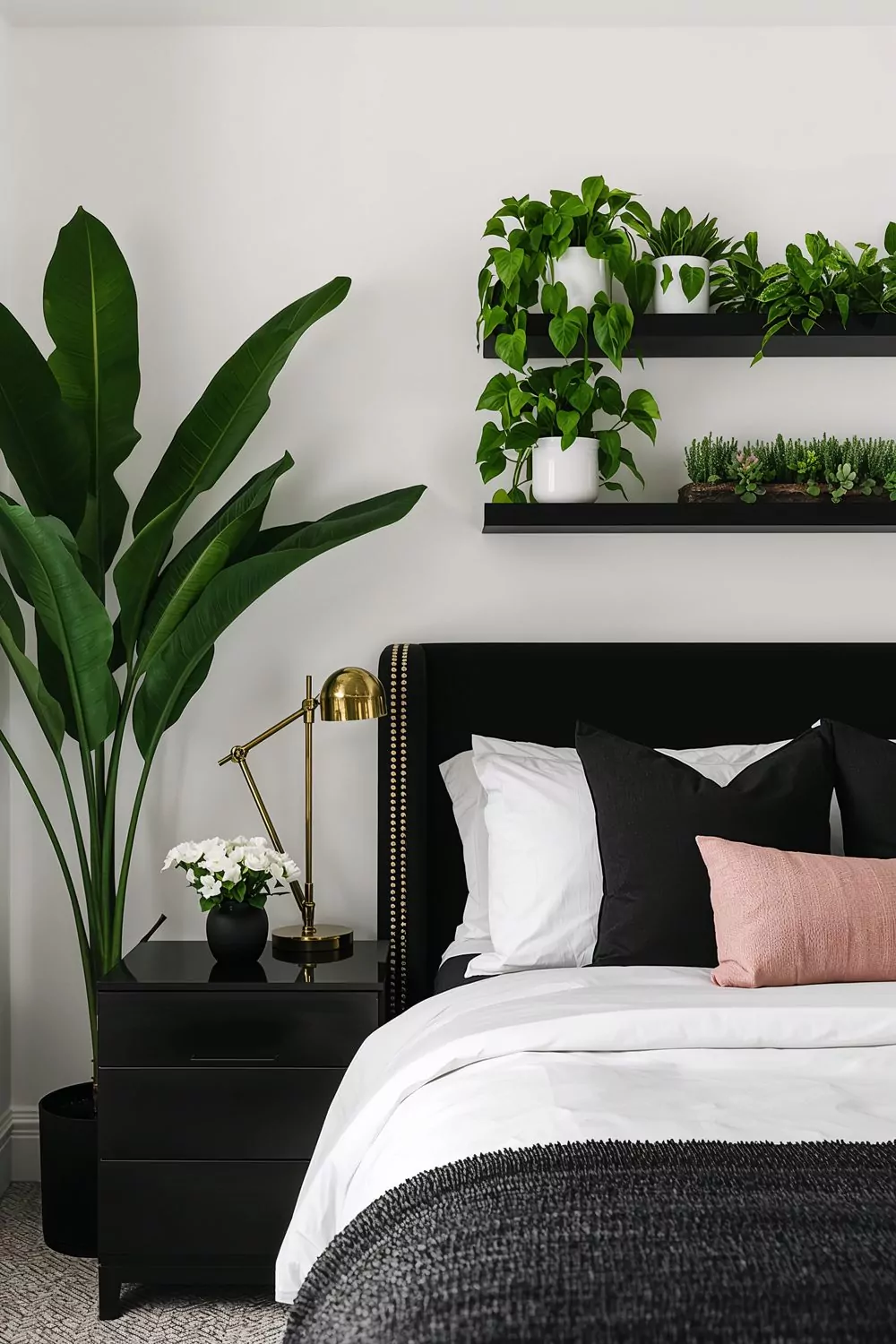 Black White Bedroom With Green Plants And Colorful Accents