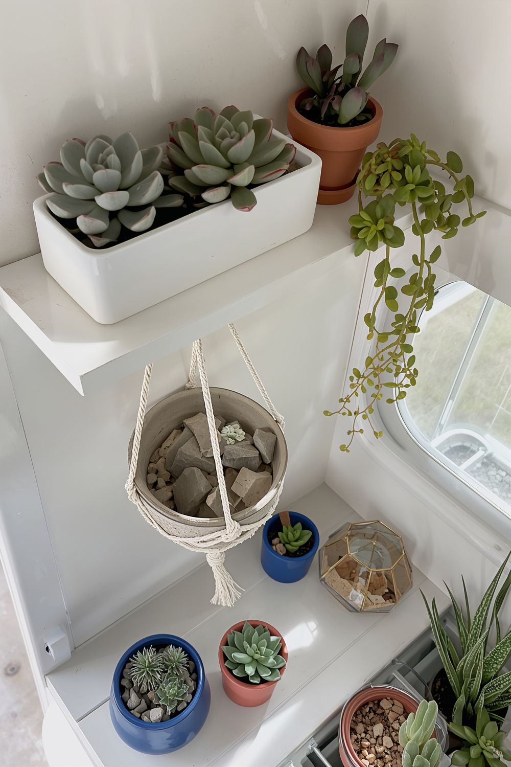 Succulent Garden Display For Pop Up Camper Shelves