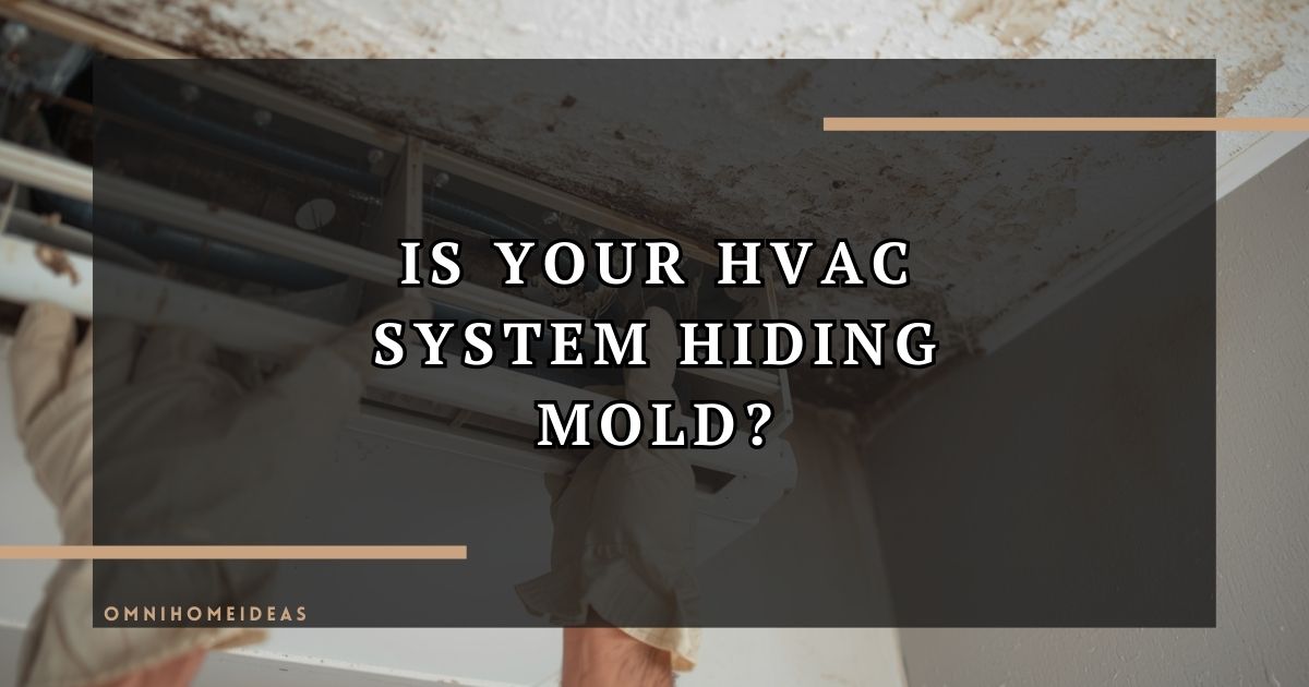 Key Things To Know Before Choosing An HVAC Mold Removal Company