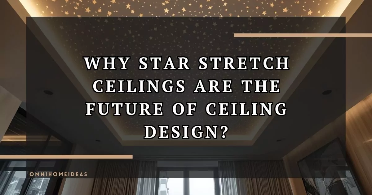 Why Star Stretch Ceilings Are The Future Of Ceiling Design
