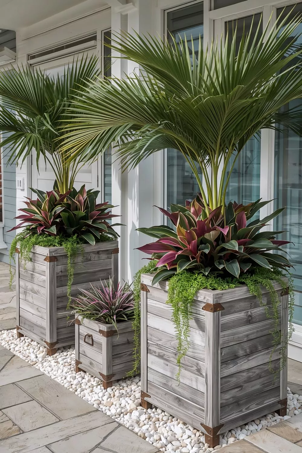 Coastal Cedar Planter Boxes With Tropical Palm Trees