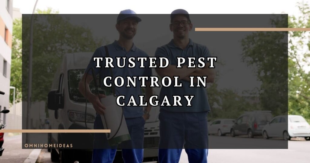 Why Homeowners In Calgary Trust Absolute Pest Control For Lasting Results