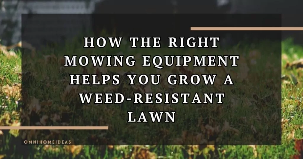 The Role Of Proper Mowing Equipment In Achieving A Weed Resistant Lawn