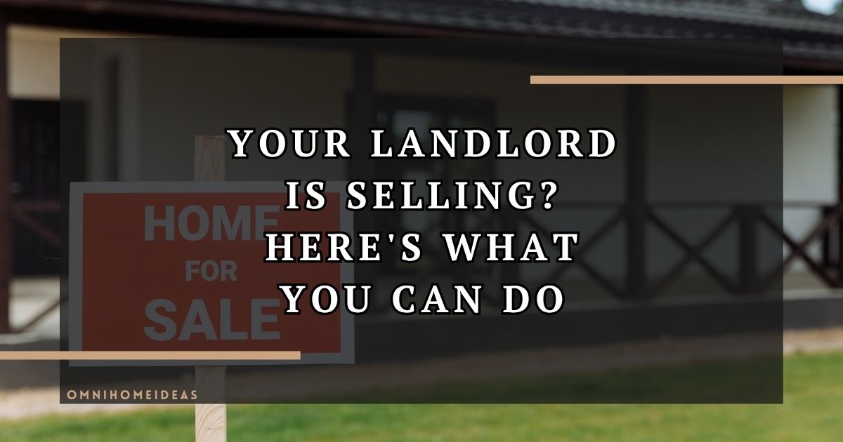 Tenant Options When Your Landlord Puts The Property Up For Sale