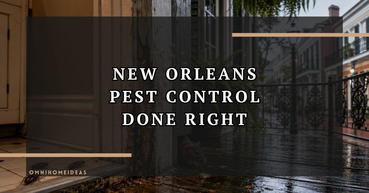 Choosing A Reliable Exterminator In New Orleans What Homeowners Need To Know