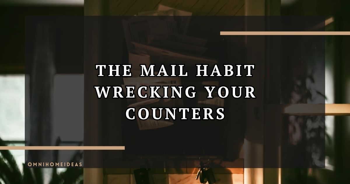 From Cluttered Counters To Clean Surfaces The Mail Habit Designers Want You To Drop