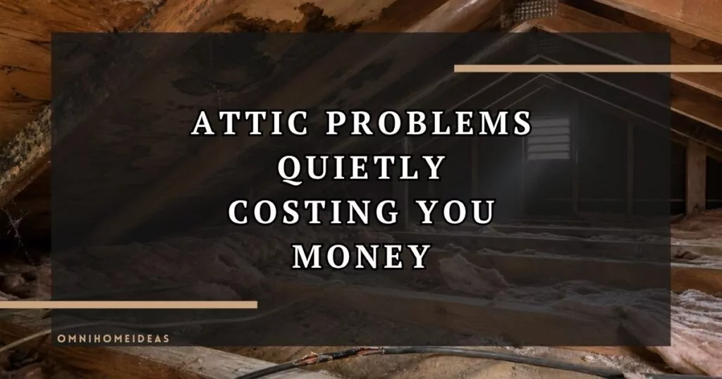 Hidden Issues That Build Up In Attics Over Time