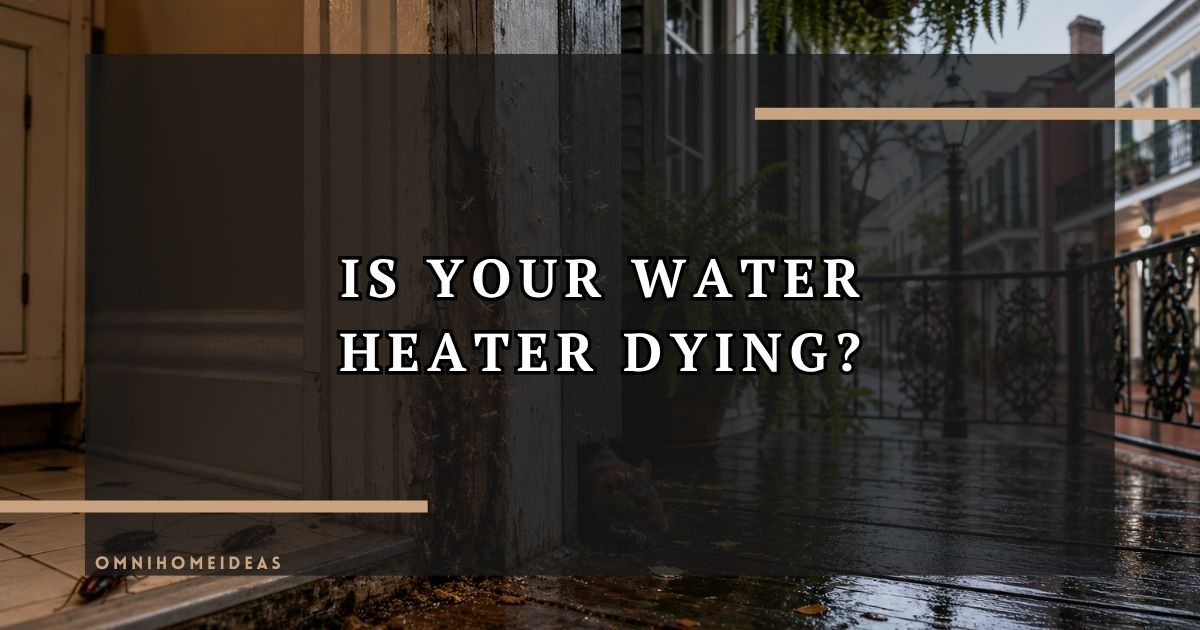 How To Tell When A Water Heater Needs Repair Vs. Full Replacement