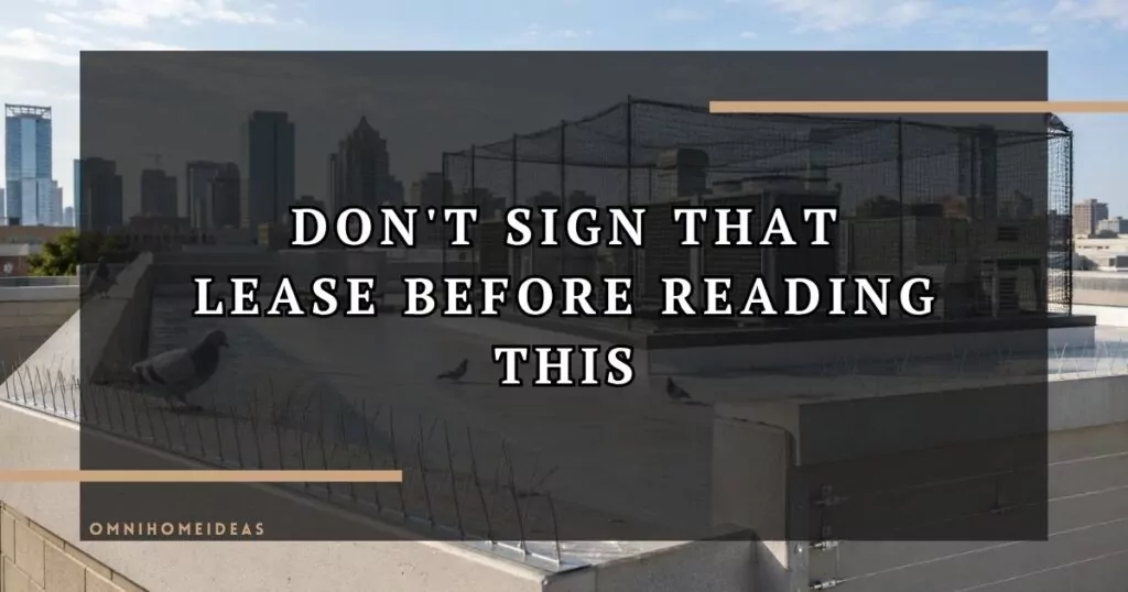 What Pigeon Control Methods Work Best Around Rooftops