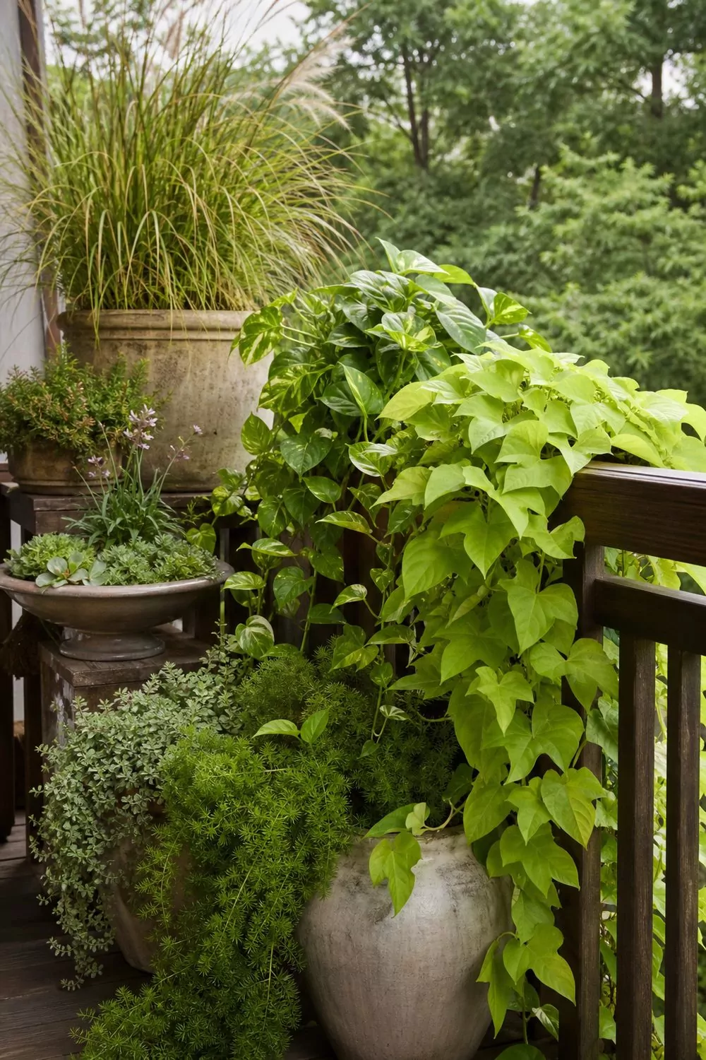 Layered potted plants with tall grasses and trailing vines cascading over a wood boho balcony railing
