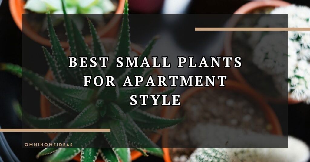 5 Best Small Indoor Plants To Style Your Apartment