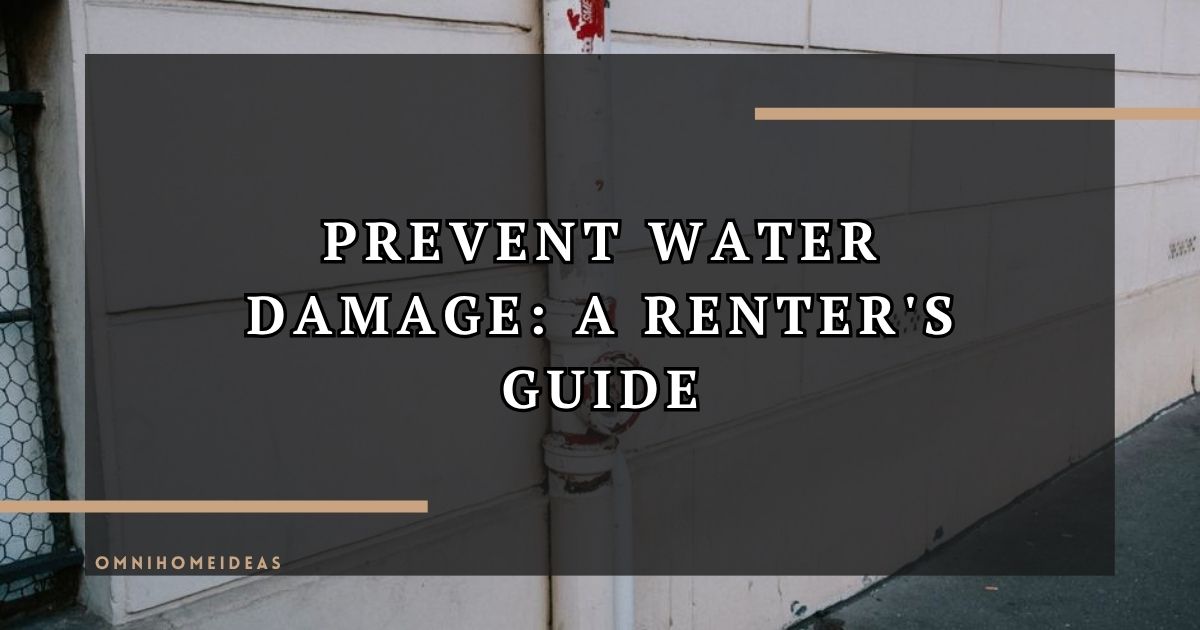 Smart Ways Renters Can Prevent Water Damage
