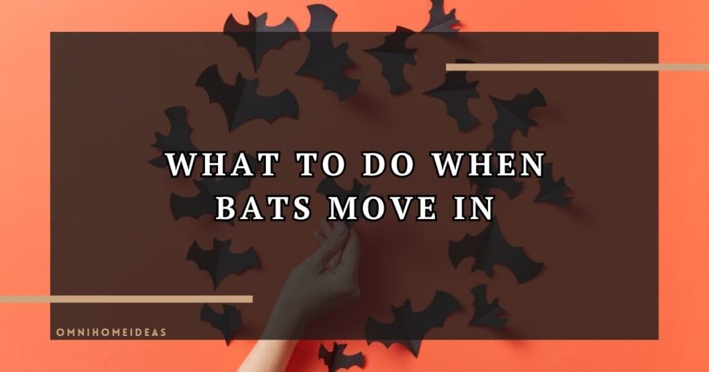 What To Do When Bats Move Into Your Home