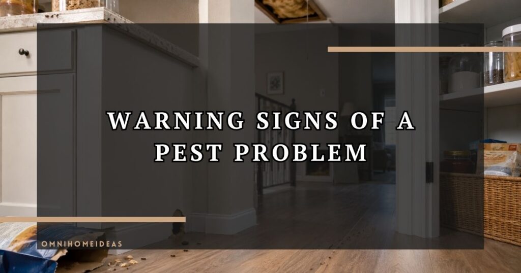 Warning Signs Of A Pest Problem Homeowners Shouldn't Ignore