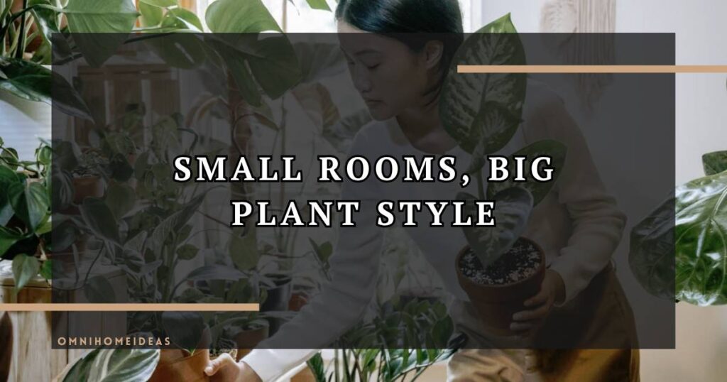 8 Ways To Decorate Small Rooms With Plants