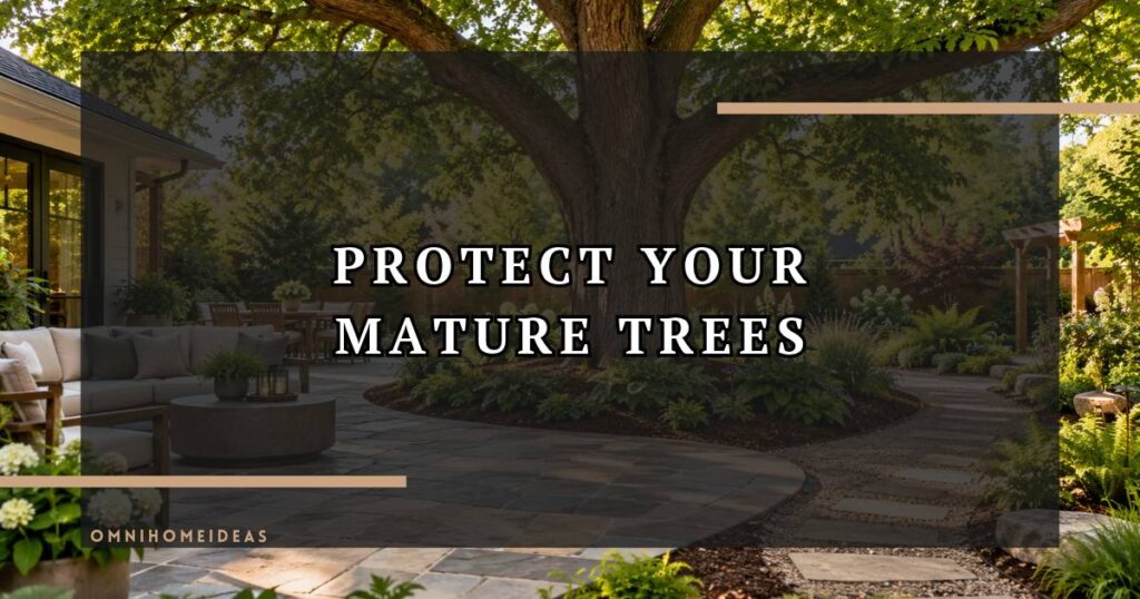 How To Care For Mature Trees While Updating Your Backyard